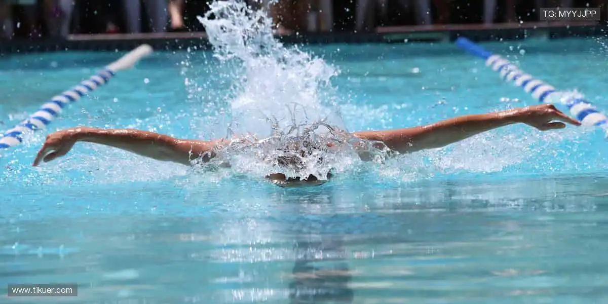 体育周边,冠军同款,你的专属装备库!🏆🎯